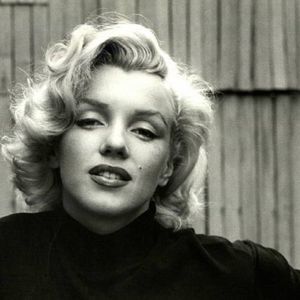 Meet your Posher, Dusty